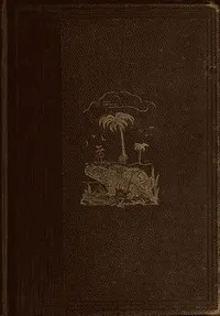 The World Before the Deluge — Louis Figuier cover