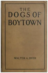 The Dogs of Boytown cover