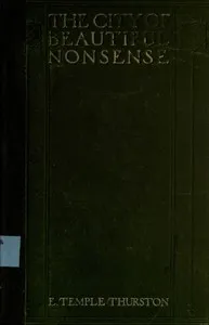 The city of beautiful nonsense cover
