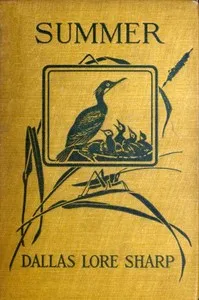 Summer cover