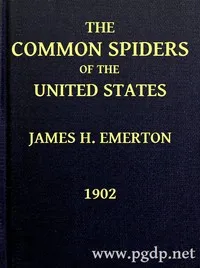 The Common Spiders of the United States — J. H. (James Henry) Emerton cover