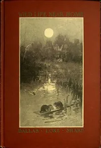 Wild Life Near Home — Dallas Lore Sharp cover