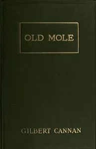 Old Mole: Being the Surprising Adventures in England of Herbert Jocelyn Beenham, M.A., Sometime Sixth-Form Master at Thrigsby Grammar School in the County of Lancaster — Gilbert Cannan cover