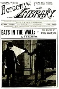Bats in the Wall; or, The Mystery of Trinity Church-yard — P. T. Raymond cover