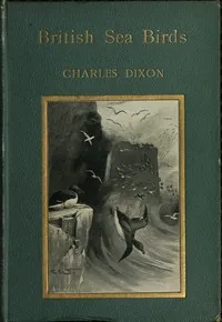 British Sea Birds — Charles Dixon cover