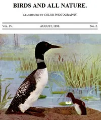 Birds and All Nature, Vol. 4, No. 2, August 1898: Illustrated by Color Photography — Various cover
