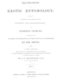 Illustrations of Exotic Entomology, Volume 1 cover