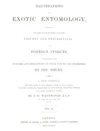 Illustrations of Exotic Entomology, Volume 2 cover