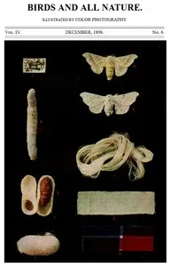 Birds and All Nature, Vol. 4, No. 6, December 1898: Illustrated by Color Photography cover