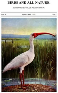 Birds and All Nature, Vol. 5, No. 2, February 1899: Illustrated by Color Photography — Various cover
