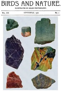 Birds and Nature, Vol. 12 No. 2 [July 1902]: Illustrated by Color Photography cover