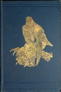 Tales of the birds cover