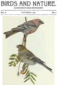 Birds and Nature, Vol. 10 No. 4 [November 1901] cover