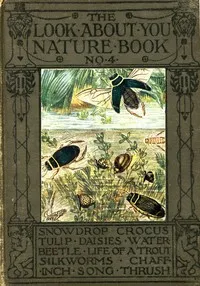 The 'Look About You' Nature Study Books, Book 4 [of 7] — Thomas W. Hoare cover