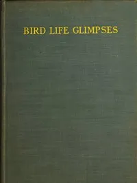 Bird Life Glimpses — Edmund Selous cover