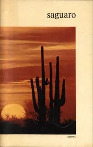 Saguaro National Monument, Arizona — Napier Shelton cover