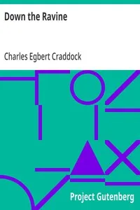 Down the Ravine — Charles Egbert Craddock cover