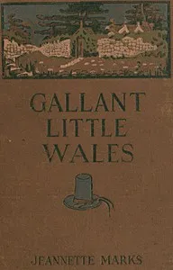Gallant Little Wales: Sketches of its people, places and customs — Anonymous cover