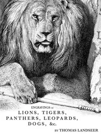 Engravings of Lions, Tigers, Panthers, Leopards, Dogs, &c. cover