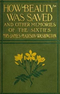 How Beauty Was Saved, and Other Memories of the Sixties — Amanda Alcenia Strickland Washington cover