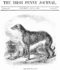 The Irish Penny Journal, Vol. 1 No. 45, May 8, 1841 — Various cover