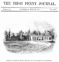 The Irish Penny Journal, Vol. 1 No. 48, May 29, 1841 cover