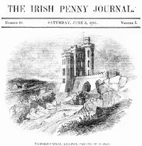 The Irish Penny Journal, Vol. 1 No. 49, June 5, 1841 — Various cover