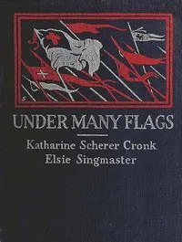 Under Many Flags — Elsie Singmaster cover
