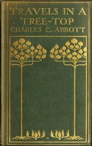Travels in a Tree-top cover