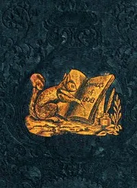 The Travels and Extraordinary Adventures of Bob the Squirrel — Anonymous cover