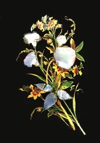 The Iris: An Illuminated Souvenir for MDCCCLII — Anonymous cover