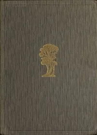The Witch-Maid, & Other Verses — Dorothea Mackellar cover