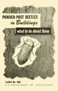 Powder-Post Beetles in Buildings: What to Do About Them — R. A. (Raymond Alexander) St. George cover