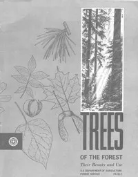 Trees of the Forest: Their Beauty and Use — Anonymous cover