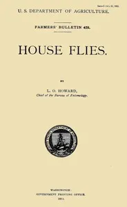House Flies cover