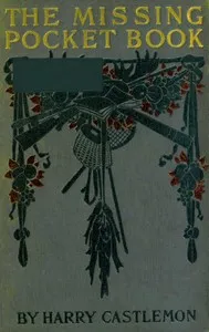 The Missing Pocket-Book; Or, Tom Mason's Luck cover