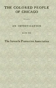 The Colored People of Chicago: An Investigation Made for the Juvenile Protective Association — Louise de Koven Bowen cover