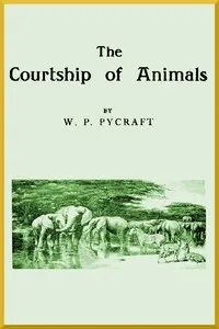 The Courtship of Animals — W. P. (William Plane) Pycraft cover
