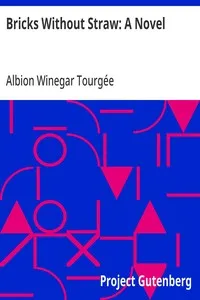 Bricks Without Straw: A Novel — Albion Winegar Tourgée cover