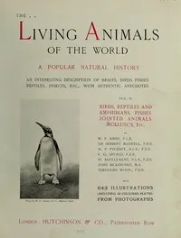 The Living Animals of the World, Volume 2 (of 2): A Popular Natural History — Anonymous cover