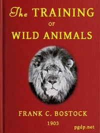 The Training of Wild Animals — Frank Charles Bostock cover