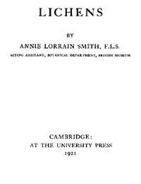 Lichens cover