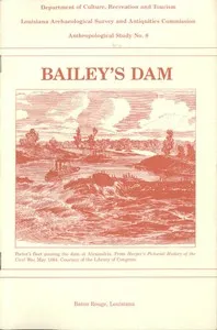 Bailey's Dam — Steven D. Smith cover