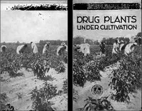 Drug Plants Under Cultivation — W. W. (Warner Webster) Stockberger cover