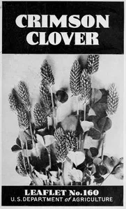 Crimson Clover [1938] cover