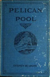 Pelican Pool: A Novel cover