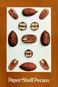 Paper Shell Pecans — Keystone Pecan Company cover