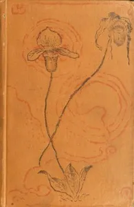 On Board the "Rocket" — Robert C. (Robert Chamblet) Adams cover