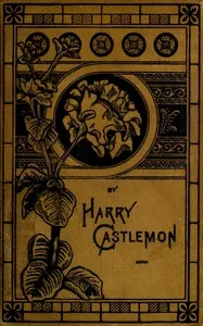 The Young Wild-Fowlers — Harry Castlemon cover