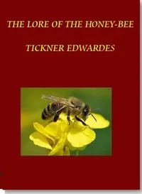 The Lore of the Honey-Bee — Tickner Edwardes cover